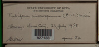 Image Associated With the Occurence